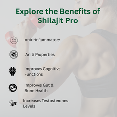 Savimant Shilajit Pro Capsules – Ayurvedic Energy, Stamina & Vitality Booster with Fulvic Acid & 80+ Minerals for Men