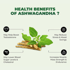 Savimant Ashwagandha Capsules – Ayurvedic Immunity Booster & Energy Supplement for Men’s