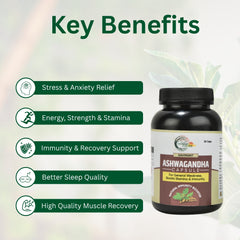 Savimant Ashwagandha Capsules – Ayurvedic Immunity Booster & Energy Supplement for Men’s