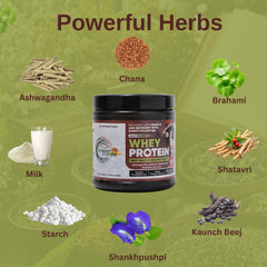 Savimant Men's Health & Wellness Whey Protein – Ayurvedic Protein Powder with Ashwagandha & Herbs