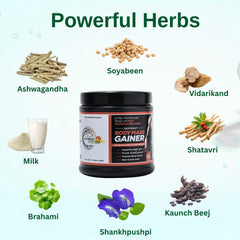 Savimant Body Mass Gainer – Ayurvedic Weight Gainer Powder for Muscle Growth (250g)