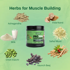 Savimant Protein Plus Powder – Ayurvedic Protein Powder with Ashwagandha, Safed Musli & Herbs